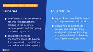 Fisheries
● overfishing is a major concern
for wild fish populations,
leading to the decline of
certain species and disrupting
marine ecosystems
● sustainable fisheries
management aims to balance
fish harvest with populations'
natural reproductive capacity
Aquaculture
● aquaculture can alleviate some
of the pressure on wild stocks
● allows wild populations to
recover and maintain their
ecological roles, contributing
to the overall health of marine
and freshwater ecosystems
15
Reducing Pressure on Wild Stocks
 