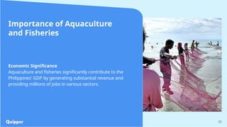 25
Importance of Aquaculture
and Fisheries
Economic Significance
Aquaculture and fisheries significantly contribute to the
Philippines' GDP by generating substantial revenue and
providing millions of jobs in various sectors.
 