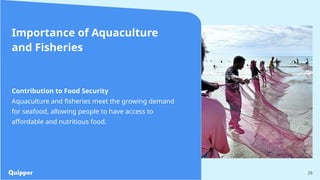 28
Importance of Aquaculture
and Fisheries
Contribution to Food Security
Aquaculture and fisheries meet the growing demand
for seafood, allowing people to have access to
affordable and nutritious food.
 