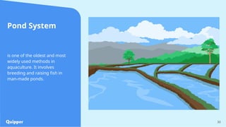 30
Pond System
is one of the oldest and most
widely used methods in
aquaculture. It involves
breeding and raising fish in
man-made ponds.
 