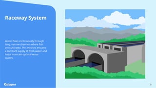 31
Raceway System
Water flows continuously through
long, narrow channels where fish
are cultivated. This method ensures
a constant supply of fresh water and
helps maintain optimal water
quality.
 