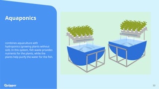 33
Aquaponics
combines aquaculture with
hydroponics (growing plants without
soil). In this system, fish waste provides
nutrients for the plants, while the
plants help purify the water for the fish.
 