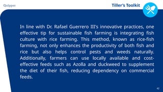Tiller’s Toolkit
42
In line with Dr. Rafael Guerrero III's innovative practices, one
effective tip for sustainable fish farming is integrating fish
culture with rice farming. This method, known as rice-fish
farming, not only enhances the productivity of both fish and
rice but also helps control pests and weeds naturally.
Additionally, farmers can use locally available and cost-
effective feeds such as Azolla and duckweed to supplement
the diet of their fish, reducing dependency on commercial
feeds.
 