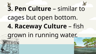 3. Pen Culture – similar to
cages but open bottom.
4. Raceway Culture – fish
grown in running water.
 