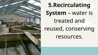 5.Recirculating
System – water is
treated and
reused, conserving
resources.
 