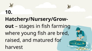 10.
Hatchery/Nursery/Grow-
out – stages in fish farming
where young fish are bred,
raised, and matured for
harvest
 