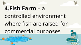 4.Fish Farm – a
controlled environment
where fish are raised for
commercial purposes
 