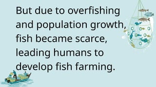 But due to overfishing
and population growth,
fish became scarce,
leading humans to
develop fish farming.
 