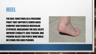 HEEL
THE HEEL FUNCTIONS AS A PRESSURE
POINT THAT SUPPORTS LOWER BACK
COMFORT AND REDUCES MUSCULAR
STIFFNESS. MASSAGING THE HEEL HELPS
IMPROVE STABILITY, EASE TENSION, AND
PROVIDE RELIEF FOR PEOPLE WHO WALK
OR STAND FOR LONG PERIODS.
 