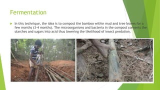 TLE bamboo treatment PRESENTATION ITH SLIDES | PPTX