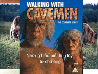 Những hiểu biết  tích lũy  từ cha ông 