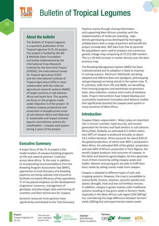 About the bulletin
The Bulletin of Tropical Legumes
is a quarterly publication of the
Tropical Legumes III (TL III) project.
The project is funded by the Bill
& Melinda Gates Foundation
and jointly implemented by the
International Crops Research
Institute for the Semi-Arid Tropics
(ICRISAT), the International Center
for Tropical Agriculture (CIAT)
and the International Institute of
Tropical Agriculture (IITA) in close
collaboration with the national
agricultural research systems (NARS)
of target countries in sub-Saharan
Africa and South Asia. This quarter,
we focus on the progress made
under Objective 3 of the project: To
enhance cowpea productivity and
production in drought-prone areas
of sub-Saharan Africa and Objective
6: Sustainable and impact-oriented
legume seed delivery systems for
smallholders – Cowpea seed system
during 2 years of the project.
10
2017
Bulletin of Tropical Legumes
Project:
Tropical Legumes III
(TL III)
Investor:
Bill & Melinda
Gates Foundation
Partners:This work has
been undertaken
as part of the
Executive Summary
A major focus of the TL III project is the
modernization of cowpea breeding programs
at IITA and national partners’ institutes
across West Africa. To this end, in addition
to incorporating recommendations from the
Breeding Program Assessment Tool (BPAT),
approaches to trait discovery and breeding
pipelines are being radically restructured to
facilitate increased efficiency of key operations.
TL III has placed emphasis on the development
of genomic resources, management of
genotypic and phenotypic data and training of
scientists and their technicians for cowpea.
Genomic resources from partners have
significantly contributed to the Trait Discovery
Pipeline mainly through sharing information
and supporting West African scientists with the
implementation of molecular breeding. High-
density genotyping assay developed by leveraging
collaborations with a range of partners will benefit the
project considerably. SNP data from five bi-parental
RIL populations were used to produce one consensus
genetic linkage map comprising of 37,372 SNP markers.
This is a 34-fold increase in marker density over the best
previous map.
The Breeding Management System (BMS) has been
institutionalized and its adoption is likely to improve
in coming seasons. Electronic field books are being
adopted and different data sets (pedigree, phenotyping
and genotyping) are being stored in the system now. TL
III scientists, both from IITA and NARS, are benefiting
from training programs and workshops on genomics
tools, data collection, analysis and a suite of database
tools. Project interventions have helped develop and
successfully implement innovative seed delivery models
that significantly boosted the cowpea seed system in
many countries of West Africa.
Introduction
Cowpea (Vigna unguiculata L. Walp.) plays an important
role in human nutrition, food security, and income
generation for farmers and food vendors in sub-Saharan
Africa (SSA). Globally, an estimated 6.5 million metric
tons (MT) of cowpea is produced annually on about
14.5 million hectares. Africa accounts for about 83% of
the global production, of which over 80% is produced in
West Africa. An estimated 40% of the global production
and over 60% of Africa’s production is from Nigeria, the
world’s largest producer and consumer of cowpea. In
the Sahel and Savanna agroecologies, farmers generate
most of their income by selling cowpea seeds and
fodder. Women and young girls are able to fulfil their
basic needs by selling snacks made from cowpea.
Cowpea is adapted to different types of soils and
cropping systems. However, the crop is susceptible to
several biotic (insects, diseases, parasitic weeds) and
abiotic (drought, heat and low soil fertility) stresses.
In addition, cowpea is grown mainly under traditional
systems resulting in low grain yields in farmers’ fields,
especially in the West African sub-region (250-300 kg/
ha). Considering the large difference between farmers’
yields (300 kg/ha) and experimental station yields
 