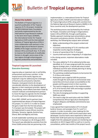 About the bulletin
The Bulletin of Tropical Legumes is a
quarterly publication of the Tropical
Legumes III (TL-III) project, funded by
the Bill & Melinda Gates Foundation,
and jointly implemented by the the
International Crops Research Institute
in the Semi-Arid Tropics (ICRISAT),
the International Center for Tropical
Agriculture (CIAT) and the International
Institute of Tropical Agriculture (IITA) in
close collaboration with partners in the
National Agricultural Research Systems
(NARS) of the target countries in sub-
Saharan Africa and South Asia. TL-III aims
to improve the livelihoods of smallholder
farmers in drought- prone areas of the
two regions through enhancing grain
legumes productivity and production.
04
2016
Bulletin of Tropical Legumes
Project:
Tropical Legumes III
(TL III)
Investor:
Bill & Melinda
Gates Foundation
Partners:
This work has
been undertaken
as part of the
Tropical Legumes III Launched
Executive Summary
Legumes play an important role in soil fertility
enhancement and human nutrition. In the
tropical areas of the world, legumes are
important crops for addressing the challenges
of food security and poverty reduction.
However, most governments do not give
considerable attention to the development of
legumes in their investment priorities. Against
this backdrop, recent efforts have been made by
research institutes and development partners
to move the legumes agenda into the limelight
of country agriculture development plans.
Since 2007, ICRISAT and its partners have
implemented two phases of tropical legumes
(TL) project, TL-I and TL-II. In order to sustain
the gains made from the first two phases,
TL-III project was formulated. The project will
be implemented in seven African countries
(Ethiopia, Tanzania, Uganda, Burkina Faso,
Ghana, Mali and Nigeria) and India.
A multi-stakeholder workshop was convened
to launch TL-III project on 18-19 August 2015.
The launch was attended by scientists from the
three CGIAR centres that are partnering in the
implementation i.e. International Center for Tropical
Agriculture (CIAT), ICRISAT and International Institute
for Tropical Agriculture (IITA); along with scientists from
the National Agricultural Research Systems (NARS) in the
focus countries and; the development partners.
The workshop process was facilitated by the Institute
for People, Innovation and Change in Organizations-
Eastern Africa (PICO-EA), through a participatory,
flexible approach involving input presentations, group
discussions and plenary sessions. At close of the
workshop, the following key outputs were achieved:
▪▪ Better understanding of the project context and
objectives
▪▪ Increased understanding of TL-III’s interface with
respective country legumes strategies
▪▪ A sense of ownership of the TL-III project
▪▪ Country draft work plans integrating TL-III objectives.
In the closing session, important observations made
included:
▪▪ The value added by TL-III to national priorities was
identified: As TL-III was congruent with the country
legume strategic plans, it would add value to what
individual countries were already planning on doing
as part of the national priorities.
▪▪ The workshop enabled participants to harmonize the
TL-III focus and context.
▪▪ Participants were urged to fulfil the promises
made through the work plans to demonstrate total
ownership and ensure proper accountability to the
people and the government in their countries.
▪▪ The need to integrate youth in the implementation
of TL-III to harness their skills and energy in positive
ventures was emphasized.
▪▪ The role of emerging partnerships in supporting
NARS was noted.
▪▪ The need to align the work plans with the CAADP-
Comprehensive African Agriculture Development
Program (Maputo and Malabo commitments) was
emphasized.
It was agreed that implementation of TL-III should
build on lessons and synergies from TL-I and TL-II
projects. In order to provide a clear roadmap for the
implementation process, draft country work plans were
developed. Country teams were expected to refine and
finalize their draft work plans by incorporating further
insights from the subsequent sessions on monitoring and
evaluation on 20-21 August 2015 as well as in-country
consultations, within two months of the project launch.
 