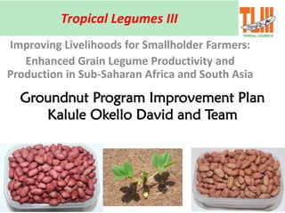 Tropical Legumes III
Improving Livelihoods for Smallholder Farmers:
Enhanced Grain Legume Productivity and
Production in Sub-Saharan Africa and South Asia
Groundnut Program Improvement Plan
Kalule Okello David and Team
 