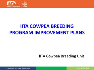 www.iita.orgA member of CGIAR consortium
IITA COWPEA BREEDING
PROGRAM IMPROVEMENT PLANS
IITA Cowpea Breeding Unit
 