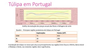 Túlipa em Portugal
Explorações Hastes (10³)
EDM 71 653
BL 28 282
RO 22 1182
Gráfico da evolução dos preços anuais das flores e folhagens de corte
Quadro - Principais regiões produtoras de túlipas em Portugal
A produção de tulipas no nosso país situa-se principalmente nas regiões Entre Douro e Minho, Beira Litoral
e Ribatejo e Oeste, nas restantes regiões não é significativa.
 