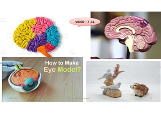 VIDEO – 7 -16
5/20/2021 Dr. C. Beulah Jayarani 40
 