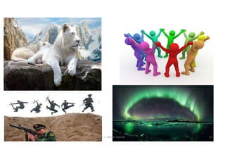 5/20/2021 Dr. C. Beulah Jayarani 61
 