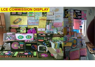 5/20/2021 Dr. C. Beulah Jayarani 73
LCE COMMISSION DISPLAY
 