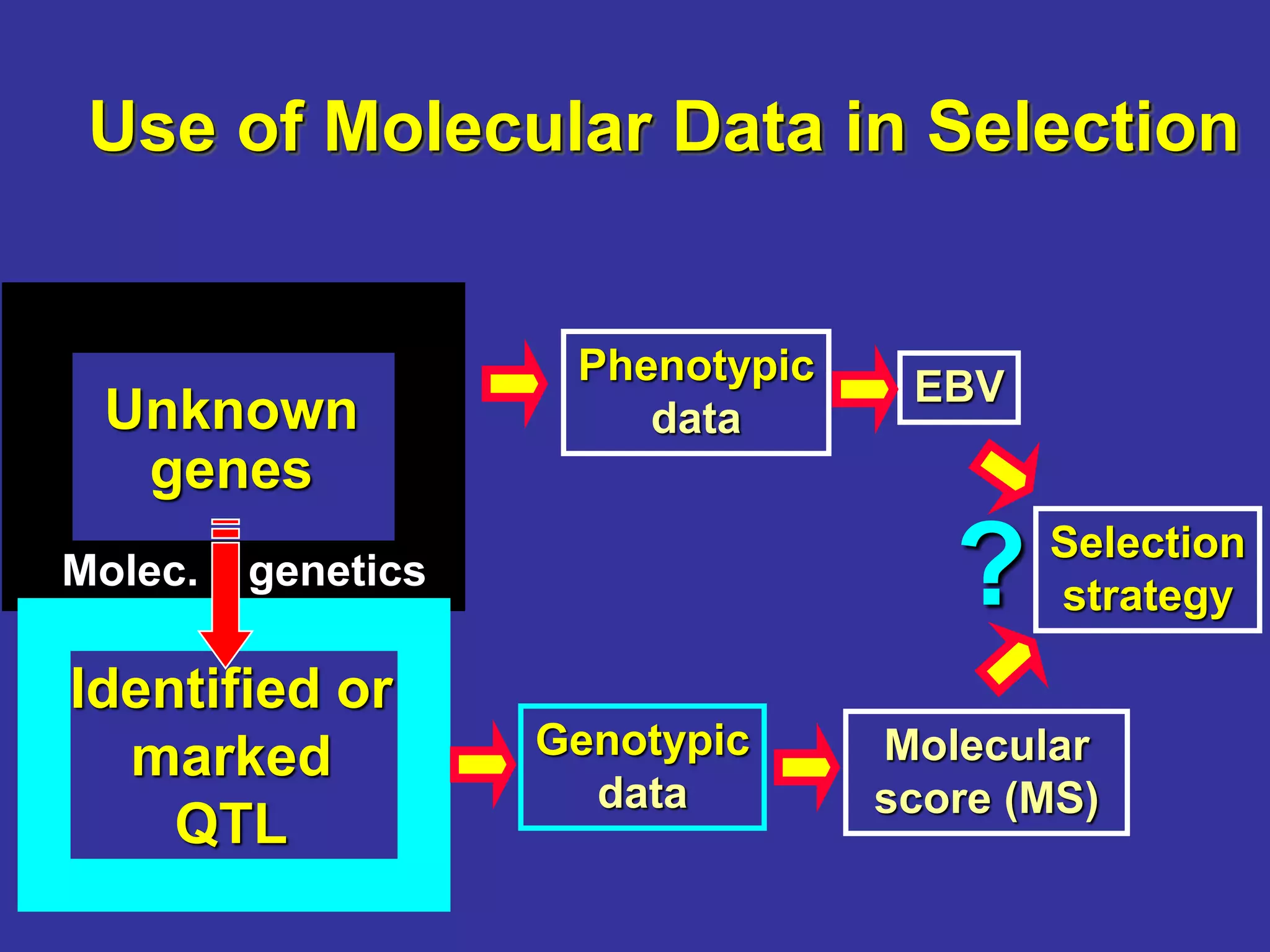 Use of Molecular Data in Selection
Unknown
genes
Identified or
marked
QTL
Phenotypic
data
EBV
Genotypic
data
Selection
strategy
Molec. genetics ?
Molecular
score (MS)
 