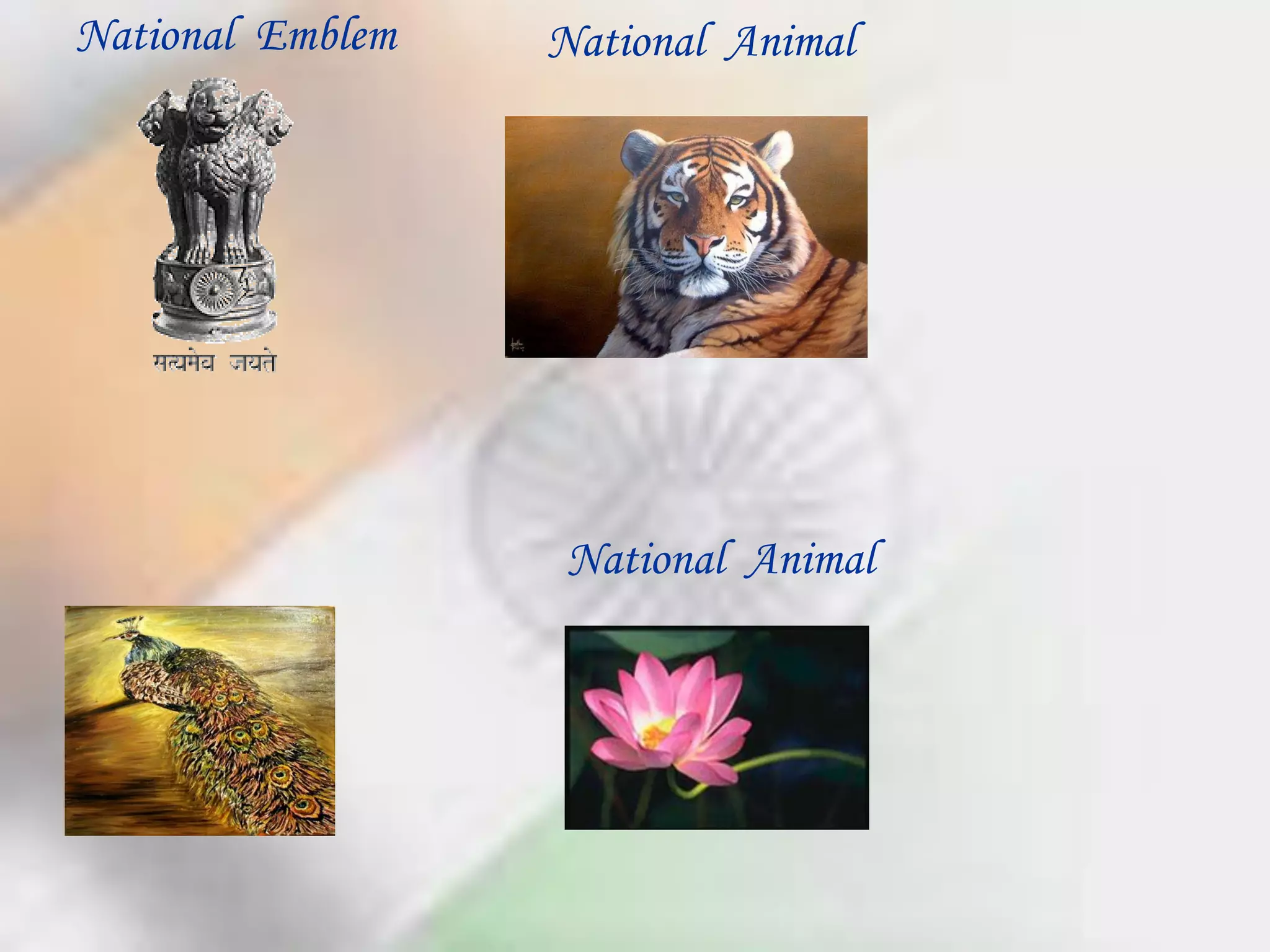 National Emblem National Animal
National Animal
 