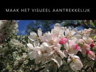 M A A K H E T V I S U E E L A A N T R E K K E L I J K
 