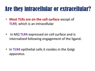 Are they intracellular or extracellular?
• Most TLRs are on the cell surface except of
TLR9, which is an intracellular
• In MQ TLR4 expressed on cell surface and is
internalized following engagement of the ligand.
• In TLR4 epithelial cells it resides in the Golgi
apparatus.