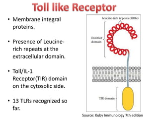 TOLL like Receptor | PPTX