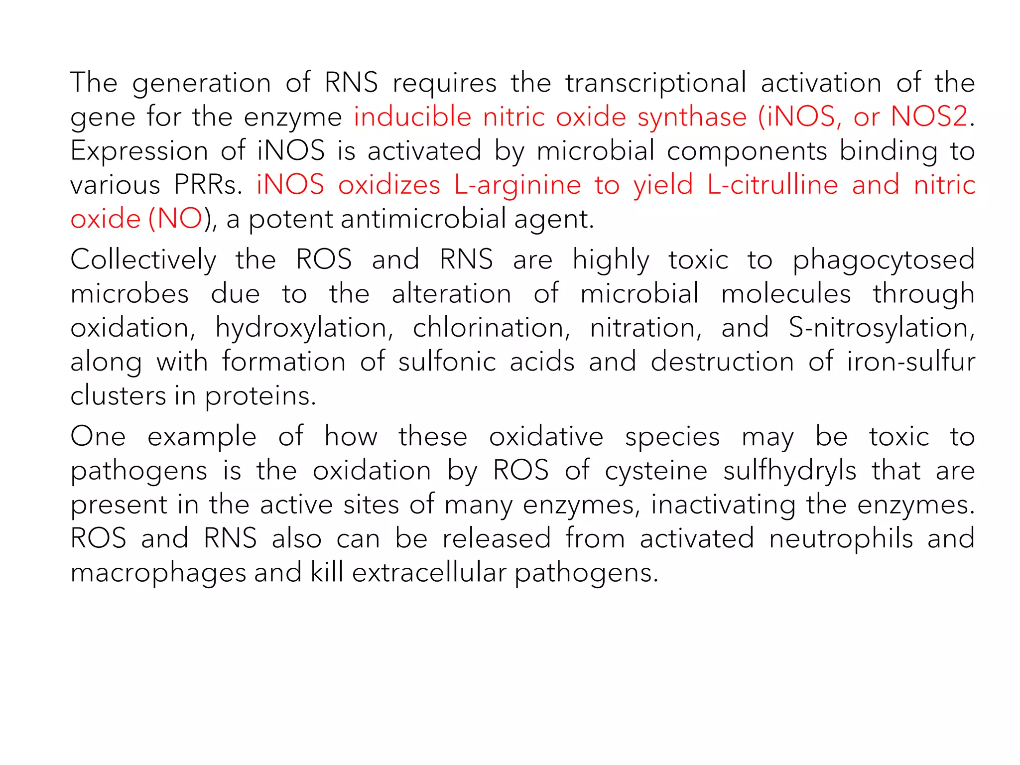 The generation of RNS requires the transcriptional activation of the
gene for the enzyme inducible nitric oxide synthase (iNOS, or NOS2.
Expression of iNOS is activated by microbial components binding to
various PRRs. iNOS oxidizes L-arginine to yield L-citrulline and nitric
oxide (NO), a potent antimicrobial agent.
Collectively the ROS and RNS are highly toxic to phagocytosed
microbes due to the alteration of microbial molecules through
oxidation, hydroxylation, chlorination, nitration, and S-nitrosylation,
along with formation of sulfonic acids and destruction of iron-sulfur
clusters in proteins.
One example of how these oxidative species may be toxic to
pathogens is the oxidation by ROS of cysteine sulfhydryls that are
present in the active sites of many enzymes, inactivating the enzymes.
ROS and RNS also can be released from activated neutrophils and
macrophages and kill extracellular pathogens.
 