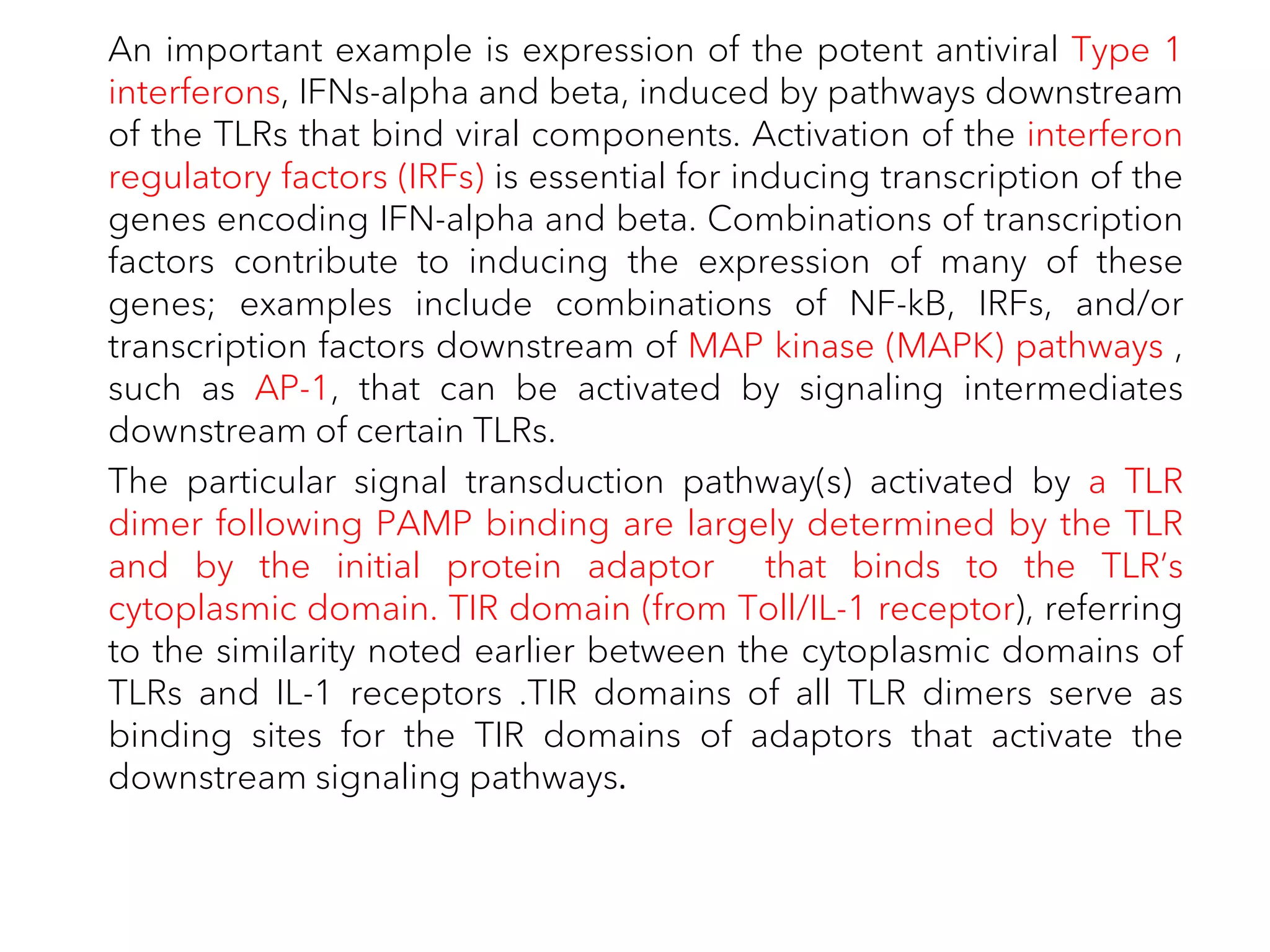 An important example is expression of the potent antiviral Type 1
interferons, IFNs-alpha and beta, induced by pathways downstream
of the TLRs that bind viral components. Activation of the interferon
regulatory factors (IRFs) is essential for inducing transcription of the
genes encoding IFN-alpha and beta. Combinations of transcription
factors contribute to inducing the expression of many of these
genes; examples include combinations of NF-kB, IRFs, and/or
transcription factors downstream of MAP kinase (MAPK) pathways ,
such as AP-1, that can be activated by signaling intermediates
downstream of certain TLRs.
The particular signal transduction pathway(s) activated by a TLR
dimer following PAMP binding are largely determined by the TLR
and by the initial protein adaptor that binds to the TLR’s
cytoplasmic domain. TIR domain (from Toll/IL-1 receptor), referring
to the similarity noted earlier between the cytoplasmic domains of
TLRs and IL-1 receptors .TIR domains of all TLR dimers serve as
binding sites for the TIR domains of adaptors that activate the
downstream signaling pathways.
 
