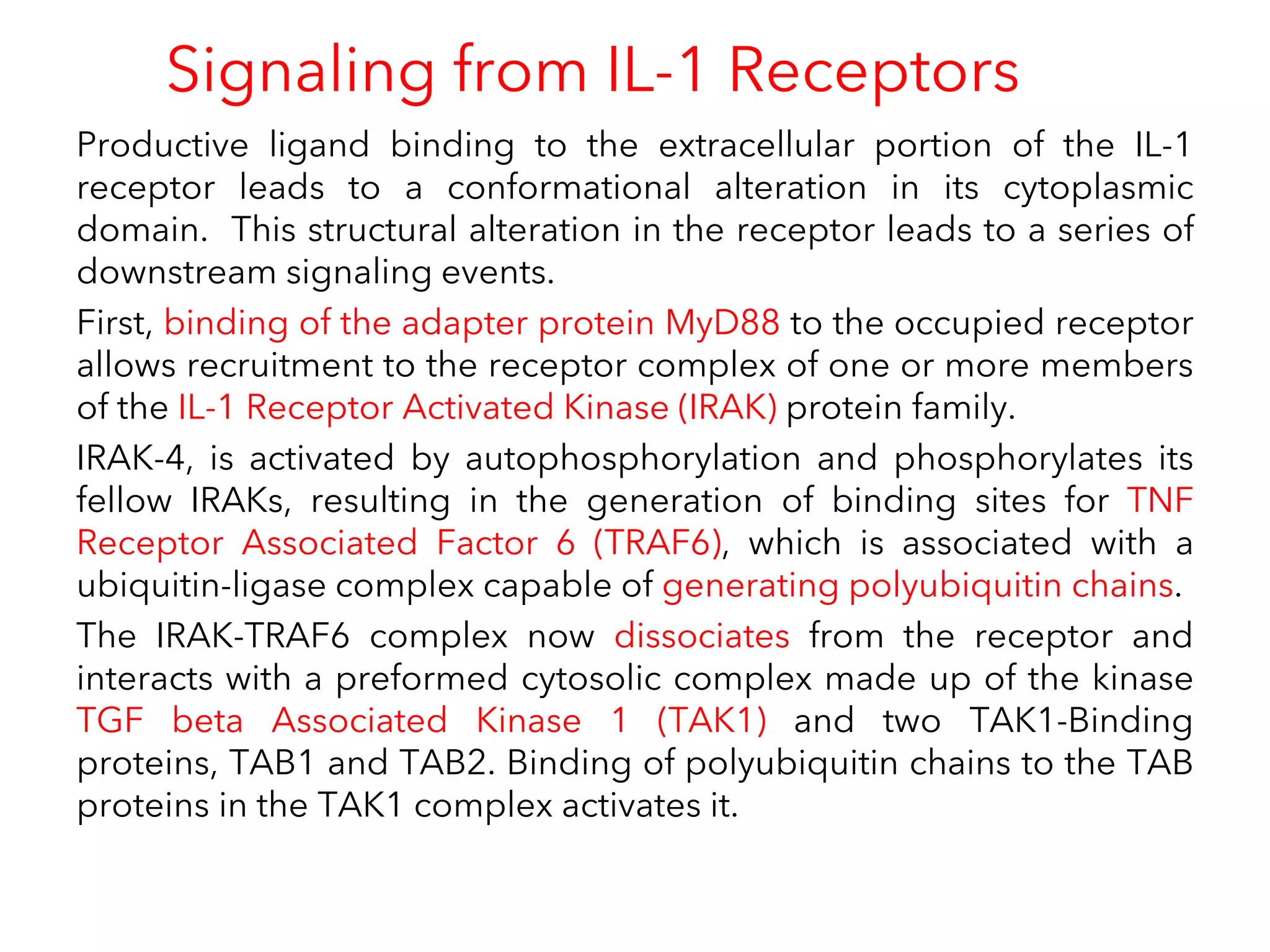 Signaling from IL-1 Receptors
Productive ligand binding to the extracellular portion of the IL-1
receptor leads to a conformational alteration in its cytoplasmic
domain. This structural alteration in the receptor leads to a series of
downstream signaling events.
First, binding of the adapter protein MyD88 to the occupied receptor
allows recruitment to the receptor complex of one or more members
of the IL-1 Receptor Activated Kinase (IRAK) protein family.
IRAK-4, is activated by autophosphorylation and phosphorylates its
fellow IRAKs, resulting in the generation of binding sites for TNF
Receptor Associated Factor 6 (TRAF6), which is associated with a
ubiquitin-ligase complex capable of generating polyubiquitin chains.
The IRAK-TRAF6 complex now dissociates from the receptor and
interacts with a preformed cytosolic complex made up of the kinase
TGF beta Associated Kinase 1 (TAK1) and two TAK1-Binding
proteins, TAB1 and TAB2. Binding of polyubiquitin chains to the TAB
proteins in the TAK1 complex activates it.
 