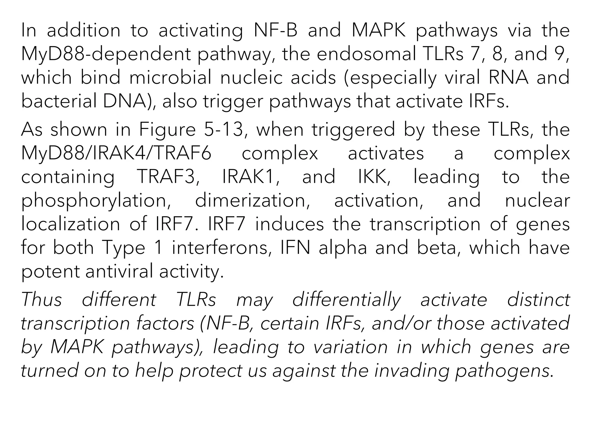 In addition to activating NF-B and MAPK pathways via the
MyD88-dependent pathway, the endosomal TLRs 7, 8, and 9,
which bind microbial nucleic acids (especially viral RNA and
bacterial DNA), also trigger pathways that activate IRFs.
As shown in Figure 5-13, when triggered by these TLRs, the
MyD88/IRAK4/TRAF6 complex activates a complex
containing TRAF3, IRAK1, and IKK, leading to the
phosphorylation, dimerization, activation, and nuclear
localization of IRF7. IRF7 induces the transcription of genes
for both Type 1 interferons, IFN alpha and beta, which have
potent antiviral activity.
Thus different TLRs may differentially activate distinct
transcription factors (NF-B, certain IRFs, and/or those activated
by MAPK pathways), leading to variation in which genes are
turned on to help protect us against the invading pathogens.
 