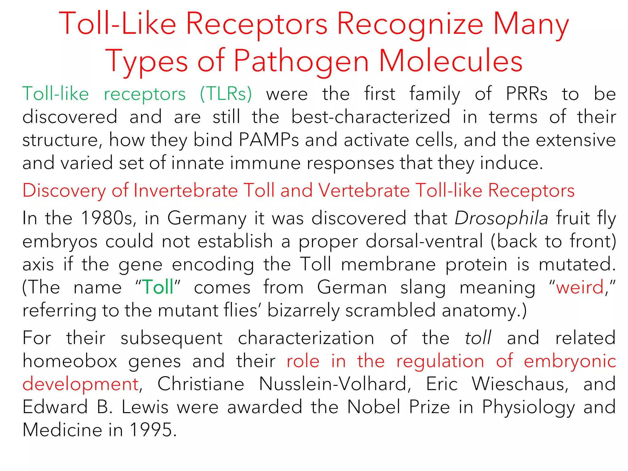 Toll-Like Receptors Recognize Many
Types of Pathogen Molecules
Toll-like receptors (TLRs) were the first family of PRRs to be
discovered and are still the best-characterized in terms of their
structure, how they bind PAMPs and activate cells, and the extensive
and varied set of innate immune responses that they induce.
Discovery of Invertebrate Toll and Vertebrate Toll-like Receptors
In the 1980s, in Germany it was discovered that Drosophila fruit fly
embryos could not establish a proper dorsal-ventral (back to front)
axis if the gene encoding the Toll membrane protein is mutated.
(The name “Toll” comes from German slang meaning “weird,”
referring to the mutant flies’ bizarrely scrambled anatomy.)
For their subsequent characterization of the toll and related
homeobox genes and their role in the regulation of embryonic
development, Christiane Nusslein-Volhard, Eric Wieschaus, and
Edward B. Lewis were awarded the Nobel Prize in Physiology and
Medicine in 1995.
 