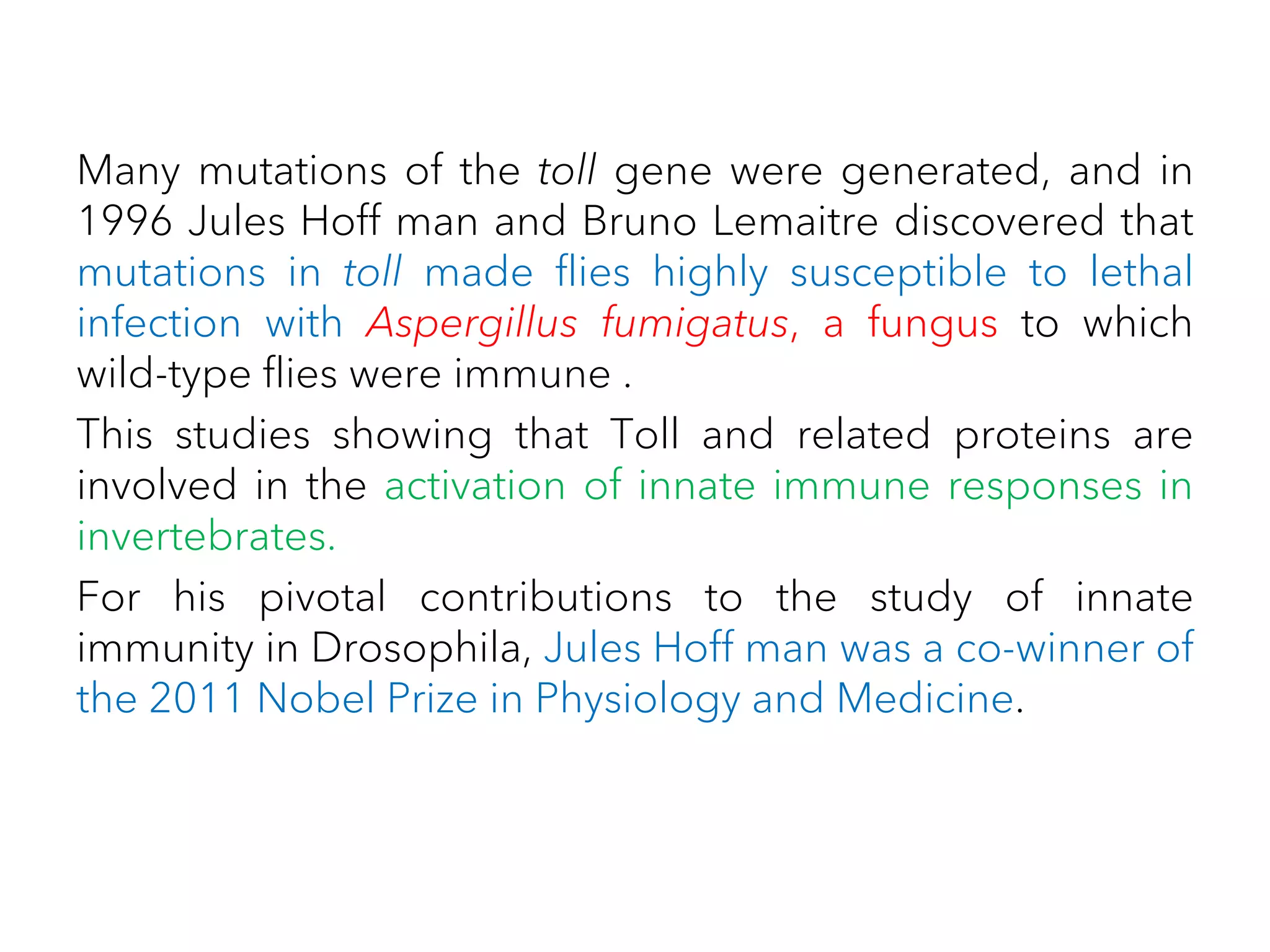 Many mutations of the toll gene were generated, and in
1996 Jules Hoff man and Bruno Lemaitre discovered that
mutations in toll made flies highly susceptible to lethal
infection with Aspergillus fumigatus, a fungus to which
wild-type flies were immune .
This studies showing that Toll and related proteins are
involved in the activation of innate immune responses in
invertebrates.
For his pivotal contributions to the study of innate
immunity in Drosophila, Jules Hoff man was a co-winner of
the 2011 Nobel Prize in Physiology and Medicine.
 