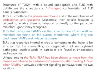 Structures of TLR2/1 with a bound lipopeptide and TLR3 with
dsRNA are the characteristic “m”-shaped conformation of TLR
dimers is apparent.
TLRs exist both on the plasma membrane and in the membranes of
endosomes and lysosome lysosomes; their cellular location is
tailored to enable them to respond optimally to the particular
microbial ligands they recognize.
TLRs that recognize PAMPs on the outer surface of extracellular
microbes are found on the plasma membrane, where they can
bind these PAMPs and induce responses.
TLRs that recognize internal microbial components that have to be
exposed by the dismantling or degradation of endocytosed
pathogens— nucleic acids in particular—are found in endosomes
and lysosomes.
Unique among the TLRs, TLR4 has been shown to move from the
plasma membrane to endosomes/ lysosomes after binding LPS or
other PAMPs. it activates different signaling pathways from the two
locations.
 