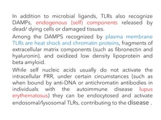 In addition to microbial ligands, TLRs also recognize
DAMPs, endogenous (self) components released by
dead/ dying cells or damaged tissues.
Among the DAMPS recognized by plasma membrane
TLRs are heat shock and chromatin proteins, fragments of
extracellular matrix components (such as fibronectin and
hyaluronin), and oxidized low density lipoprotein and
beta amyloid.
While self nucleic acids usually do not activate the
intracellular PRR, under certain circumstances (such as
when bound by anti-DNA or antichromatin antibodies in
individuals with the autoimmune disease lupus
erythematosus) they can be endocytosed and activate
endosomal/lysosomal TLRs, contributing to the disease .
 