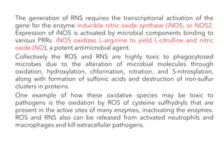 The generation of RNS requires the transcriptional activation of the
gene for the enzyme inducible nitric oxide synthase (iNOS, or NOS2.
Expression of iNOS is activated by microbial components binding to
various PRRs. iNOS oxidizes L-arginine to yield L-citrulline and nitric
oxide (NO), a potent antimicrobial agent.
Collectively the ROS and RNS are highly toxic to phagocytosed
microbes due to the alteration of microbial molecules through
oxidation, hydroxylation, chlorination, nitration, and S-nitrosylation,
along with formation of sulfonic acids and destruction of iron-sulfur
clusters in proteins.
One example of how these oxidative species may be toxic to
pathogens is the oxidation by ROS of cysteine sulfhydryls that are
present in the active sites of many enzymes, inactivating the enzymes.
ROS and RNS also can be released from activated neutrophils and
macrophages and kill extracellular pathogens.
 