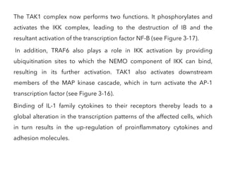 The TAK1 complex now performs two functions. It phosphorylates and
activates the IKK complex, leading to the destruction of IB and the
resultant activation of the transcription factor NF-B (see Figure 3-17).
In addition, TRAF6 also plays a role in IKK activation by providing
ubiquitination sites to which the NEMO component of IKK can bind,
resulting in its further activation. TAK1 also activates downstream
members of the MAP kinase cascade, which in turn activate the AP-1
transcription factor (see Figure 3-16).
Binding of IL-1 family cytokines to their receptors thereby leads to a
global alteration in the transcription patterns of the affected cells, which
in turn results in the up-regulation of proinflammatory cytokines and
adhesion molecules.
 