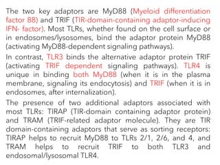 The two key adaptors are MyD88 (Myeloid differentiation
factor 88) and TRIF (TIR-domain-containing adaptor-inducing
IFN- factor). Most TLRs, whether found on the cell surface or
in endosomes/lysosomes, bind the adaptor protein MyD88
(activating MyD88-dependent signaling pathways).
In contrast, TLR3 binds the alternative adaptor protein TRIF
(activating TRIF dependent signaling pathways). TLR4 is
unique in binding both MyD88 (when it is in the plasma
membrane, signaling its endocytosis) and TRIF (when it is in
endosomes, after internalization).
The presence of two additional adaptors associated with
most TLRs: TIRAP (TIR-domain containing adaptor protein)
and TRAM (TRIF-related adaptor molecule). They are TIR
domain-containing adaptors that serve as sorting receptors:
TIRAP helps to recruit MyD88 to TLRs 2/1, 2/6, and 4, and
TRAM helps to recruit TRIF to both TLR3 and
endosomal/lysosomal TLR4.
 