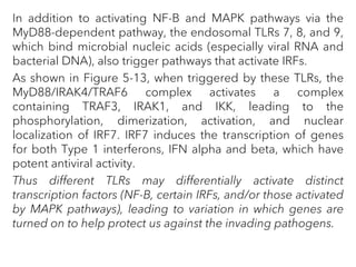 In addition to activating NF-B and MAPK pathways via the
MyD88-dependent pathway, the endosomal TLRs 7, 8, and 9,
which bind microbial nucleic acids (especially viral RNA and
bacterial DNA), also trigger pathways that activate IRFs.
As shown in Figure 5-13, when triggered by these TLRs, the
MyD88/IRAK4/TRAF6 complex activates a complex
containing TRAF3, IRAK1, and IKK, leading to the
phosphorylation, dimerization, activation, and nuclear
localization of IRF7. IRF7 induces the transcription of genes
for both Type 1 interferons, IFN alpha and beta, which have
potent antiviral activity.
Thus different TLRs may differentially activate distinct
transcription factors (NF-B, certain IRFs, and/or those activated
by MAPK pathways), leading to variation in which genes are
turned on to help protect us against the invading pathogens.
 