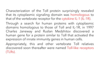 Characterization of the Toll protein surprisingly revealed
that its cytoplasmic signaling domain was homologous to
that of the vertebrate receptor for the cytokine IL-1 (IL-1R).
Through a search for human proteins with cytoplasmic
domains homologous to those of Toll and IL-1R, in 1997
Charles Janeway and Ruslan Medzhitov discovered a
human gene for a protein similar to Toll that activated the
expression of innate immunity genes in human cells.
Appropriately, this and other vertebrate Toll relatives
discovered soon thereafter were named Toll-like receptors
(TLRs).
 