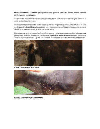 ANTIPARASITARIOS EXTERNOS (ectoparasiticidas) para el GANADO bovino, ovino, caprino,
porcino y aviar, perros y gatos
son productospara combatirlosparásitosexternosde losanimalestalescomopulgas,ácarosde la
sarna, garrapatas, piojos, etc.
antiparasitarioexternousadascontralosectoparásitosdelganado,perrosygatos.Muchosde ellos
sonde espectrode acciónamplio,esdecir,soneficacescontramuchosparásitosexternosal mismo
tiempo (p.ej. moscas, piojos, ácaros, garrapatas, etc.)
Ademásde usarse en el ganado bovino,ovino,porcinoyaviar, se empleantambiénsobre perrosy
gatos y otrosanimalesdomésticos,Otrassonde espectrode acción estrecho,esdecir,sóloactúan
sobre unas pocas especies. Algunas son también eficaces contra ciertos helmintos endoparásit
BOVINO AFECTADO POR ACAROS
BOVINO AFECTADO POR GARRAPATAS
 