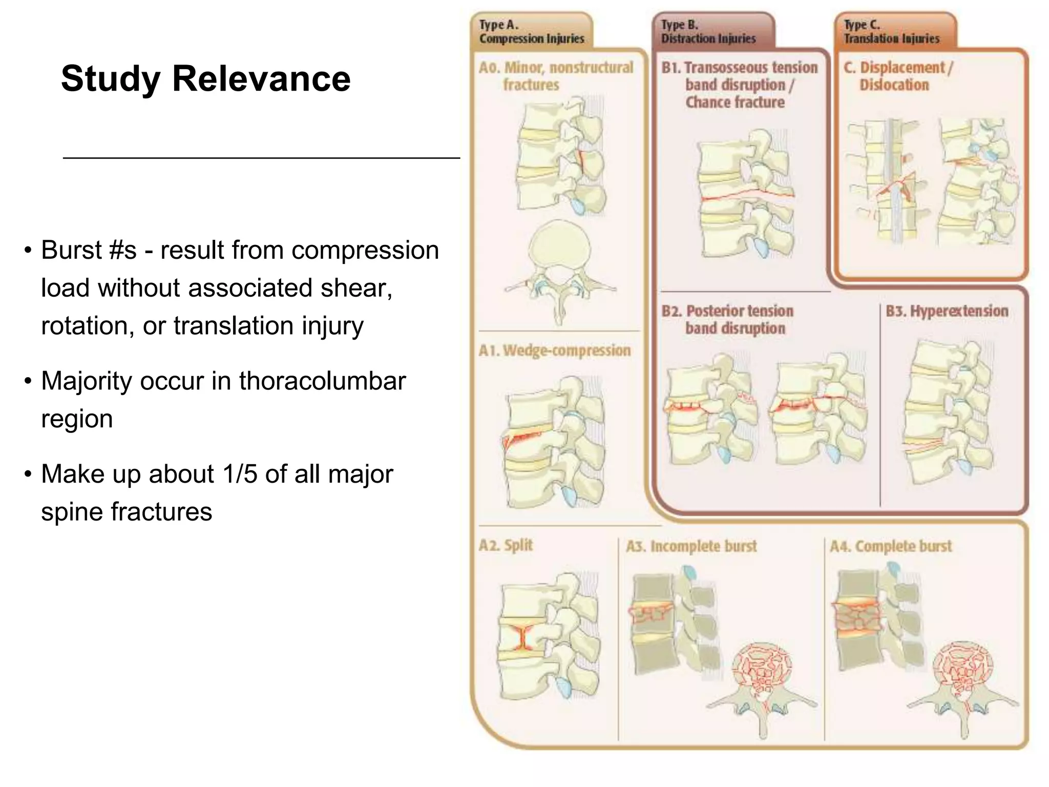 Study Relevance
• Burst #s - result from compression
load without associated shear,
rotation, or translation injury
• Majority occur in thoracolumbar
region
• Make up about 1/5 of all major
spine fractures
 