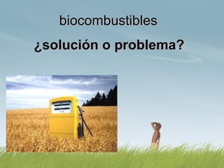 biocombustiblesbiocombustibles
¿solución o problema?¿solución o problema?
 