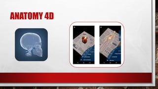 ANATOMY 4D
 