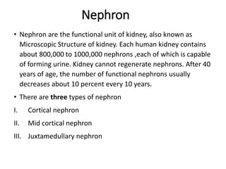 Nephron
• Nephron are the functional unit of kidney, also known as
Microscopic Structure of kidney. Each human kidney contains
about 800,000 to 1000,000 nephrons ,each of which is capable
of forming urine. Kidney cannot regenerate nephrons. After 40
years of age, the number of functional nephrons usually
decreases about 10 percent every 10 years.
• There are three types of nephron
I. Cortical nephron
II. Mid cortical nephron
III. Juxtamedullary nephron
 