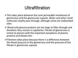 Ultrafiltration
This takes place between the semi permeable membrane of
glomerulus and the glomerular capsule. Water and other small
molecules readily pass through, although some are reabsorbed
later.
 Blood cells,plasma proteins are too large to filter through and
therefore they remain in capillaries. Filtrate of glomerulus is
similar to plasma with the important exceptions of plasma
proteins and blood cells.
Filtration takes place because there is a difference between
the blood pressure in the glomerulus and the pressure of the
filtrate in glomerular capsule.
 