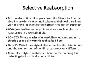 Selective Reabsorption
Most reabsorbtion takes place from the filtrate back to the
blood in proximal convoluted tubule as their walls are lined
with microvilli to increase the surface area for reabsorption.
Water,electrolites and organic substance such as glucose is
reabsorbed in proximal tubule.
60 – 70% filtrate reaches the medullary loop and sodium ,
chloride especially water is reabsorbed here.
Only 15-20% of the original filtrate reaches the distal tubule
and the composition of the filtreate is now very different.
More electrolyte is reabsorbed here, so the entering the
collecting duct is actually quite dilute.
 