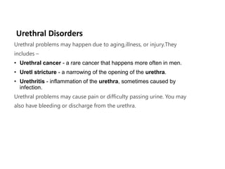 Urethral Disorders
Urethral problems may happen due to aging,illness, or injury.They
includes –
• Urethral cancer - a rare cancer that happens more often in men.
• Uretl stricture - a narrowing of the opening of the urethra.
• Urethritis - inflammation of the urethra, sometimes caused by
infection.
Urethral problems may cause pain or difficulty passing urine. You may
also have bleeding or discharge from the urethra.
 