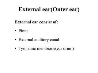 External ear(Outer ear)
External ear consist of:
• Pinna
• External auditory canal
• Tympanic membrane(ear drum)
 